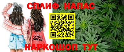 соль ск Будённовск