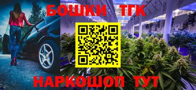 соль ск Будённовск