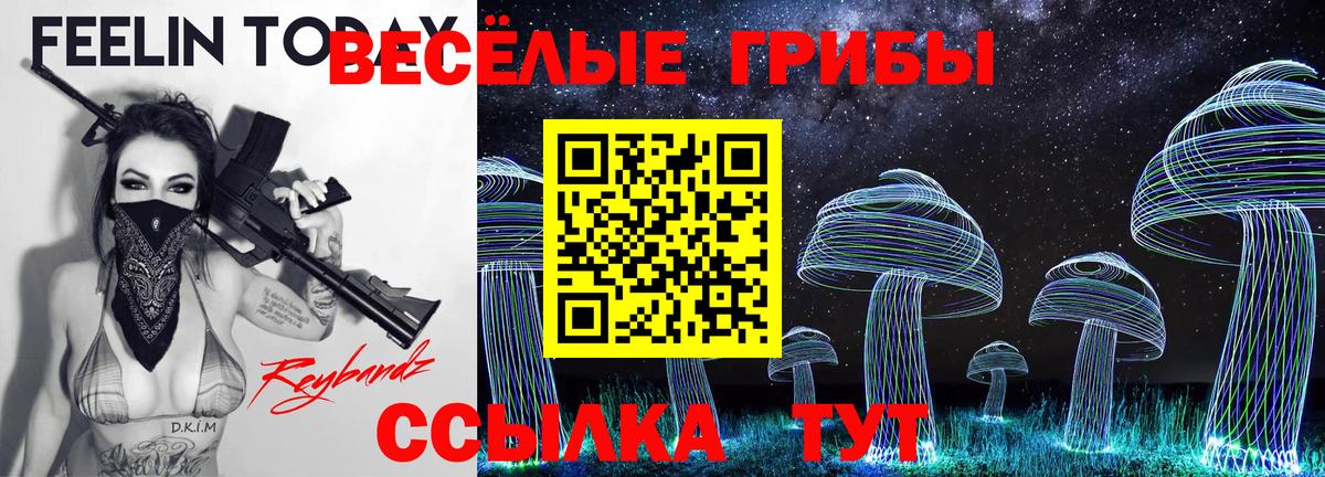 Галлюциногенные грибы мухоморы  магазин продажи наркотиков  Псилоцибиновые грибы MAGIC MUSHROOMS  Углич  Вход с VPN 