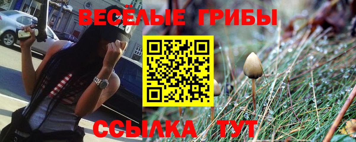 Галлюциногенные грибы Psilocybe Углич